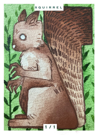 Squirrel 1/1