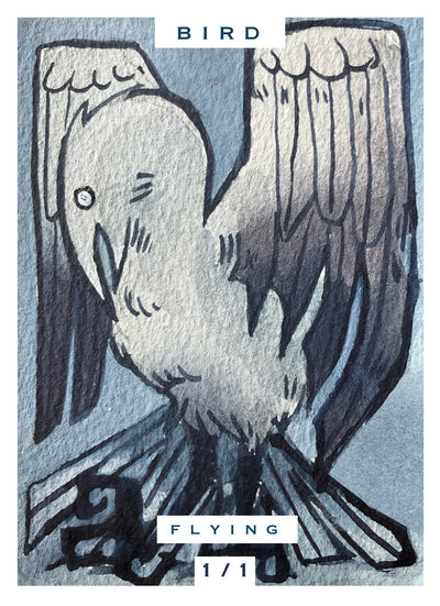 Bird 1/1